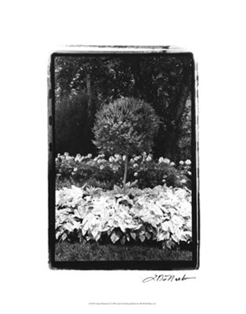 Garden Hideaway II by Laura Denardo art print