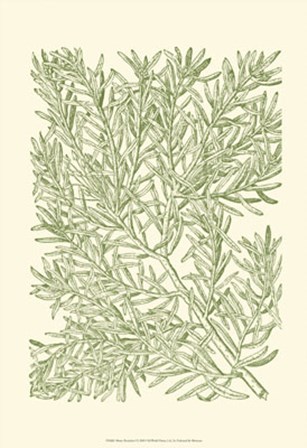 Mossy Branches I by Duhamel De Monceau art print