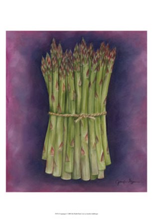 Asparagus by Jennifer Goldberger art print
