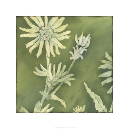 Verdigris Blossoms I by Megan Meagher art print