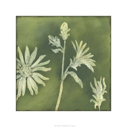 Verdigris Blossoms II by Megan Meagher art print