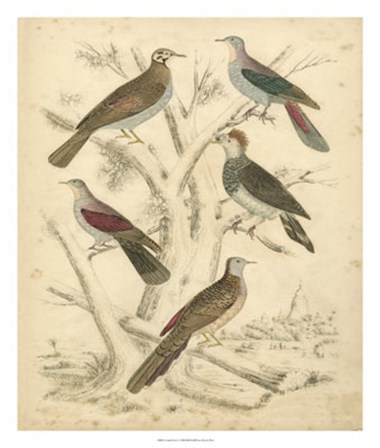 Avian Habitat I by Malcolm Milne art print