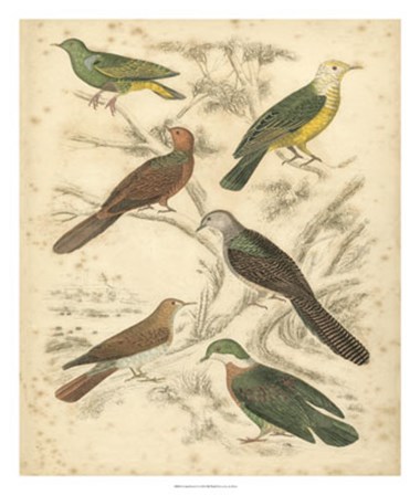 Avian Habitat II by Malcolm Milne art print