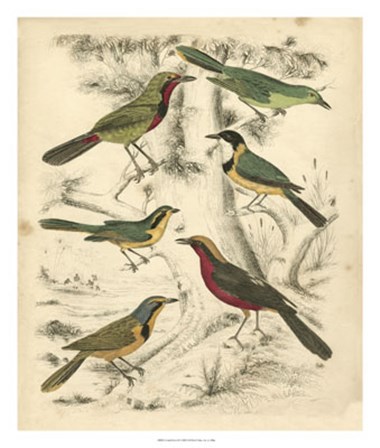 Avian Habitat III by Malcolm Milne art print