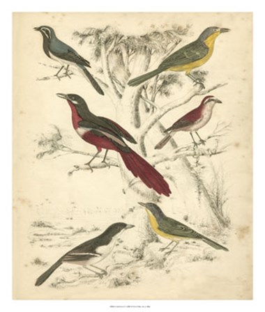 Avian Habitat IV by Malcolm Milne art print