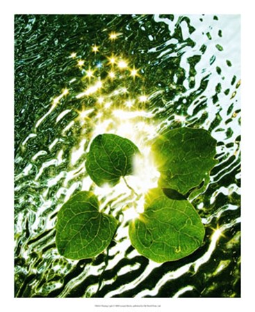 Floating Light by Leonard Morris art print
