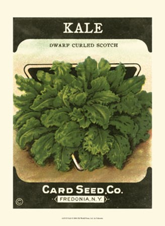 Kale art print