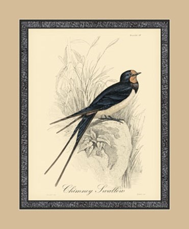 Printed Chimney Swallow (A) by Apogee Services art print