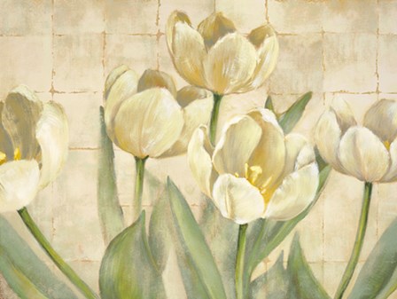 White Tulips on Ivory by Lauren Mckee art print