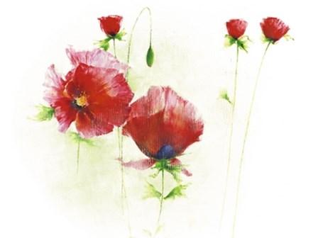 Red Poppies I by Andrea Fontana art print