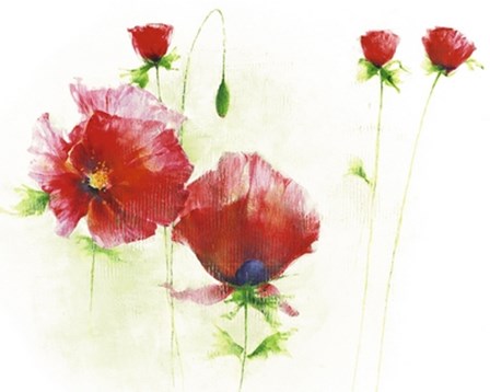 Red Poppies I by Andrea Fontana art print