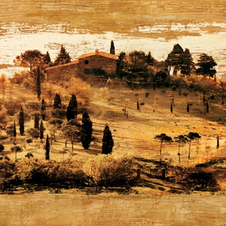 Tuscan Countryside II by Colin Floyd art print