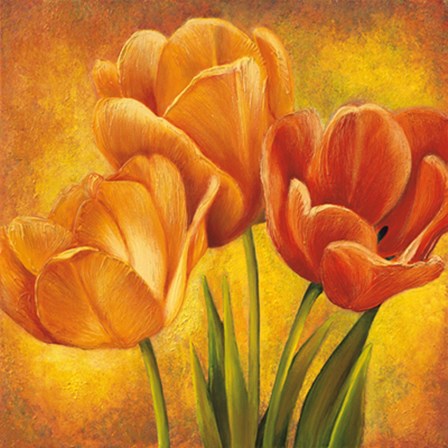 Orange Tulips II by David Pedersen art print