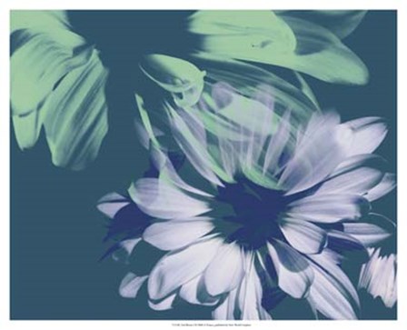 Teal Bloom I by A. Project art print