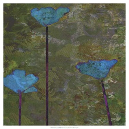 Teal Poppies II by Ricki Mountain art print