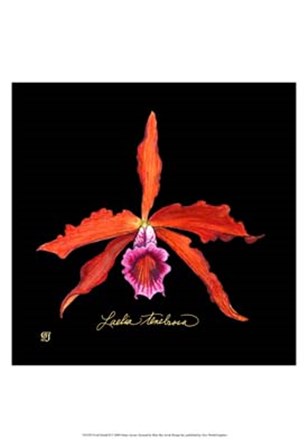 Vivid Orchid II by Ginny Joyner art print