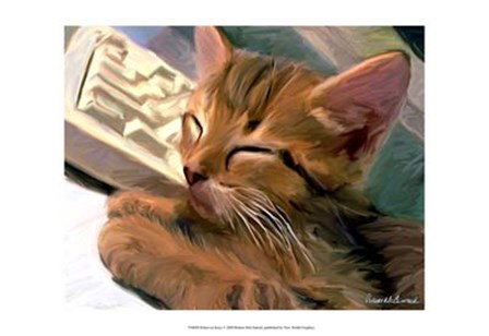 Kitten on Keys by Robert McClintock art print
