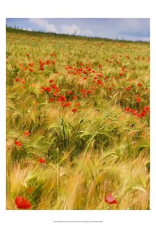 Poppies in Field I by Colby Chester art print
