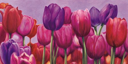 Campo di tulipani by Sara J. Cortesse art print