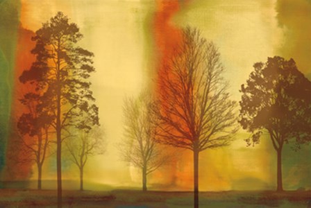 Sunset II by Chris Donovan art print