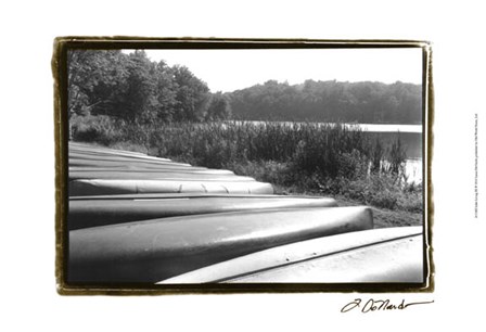 Lake Living III by Laura Denardo art print