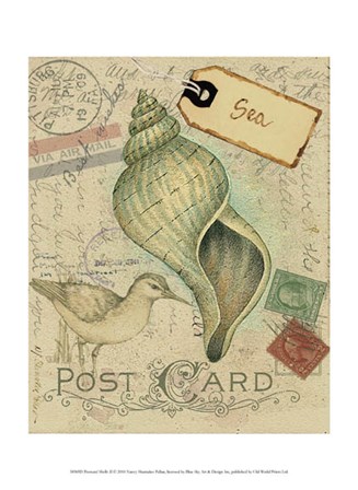 Postcard Shells II by Nancy Shumaker art print