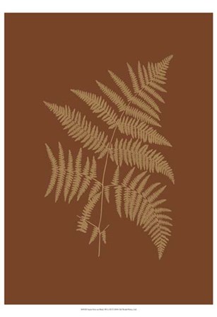 Sepia Ferns on Brick (WG) III art print