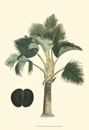 Exotic Palms III by Vision Studio art print