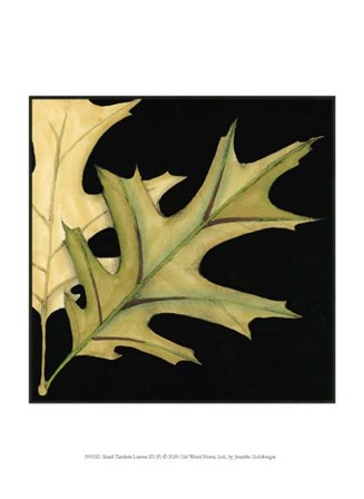 Small Tandem Leaves III (P) by Jennifer Goldberger art print