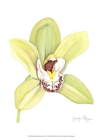 Small Orchid Beauty II (U) by Jennifer Goldberger art print