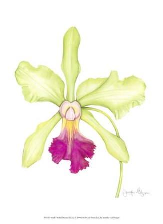 Small Orchid Beauty III (U) by Jennifer Goldberger art print