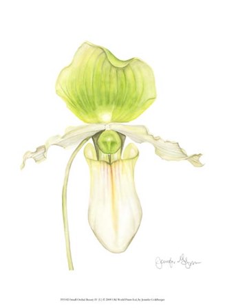 Small Orchid Beauty IV (U) by Jennifer Goldberger art print
