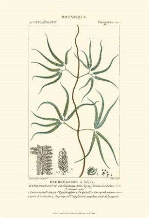 Botany II by Pierre Jean Francois Turpin art print