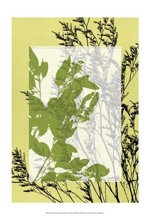 Sm Translucent Wildflowers III by Jennifer Goldberger art print