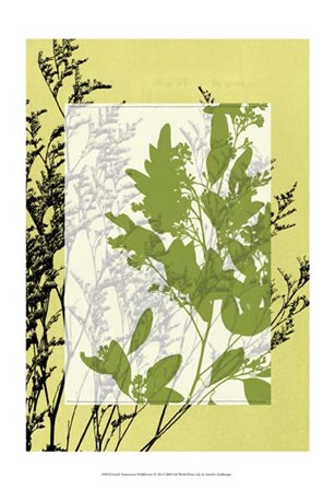 Sm Translucent Wildflowers IV by Jennifer Goldberger art print