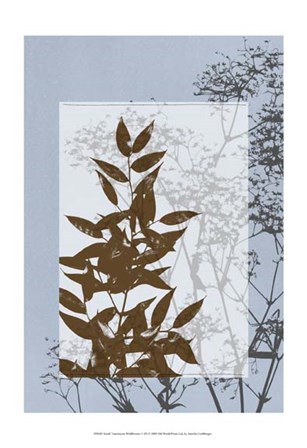 Sm Translucent Wildflowers V by Jennifer Goldberger art print