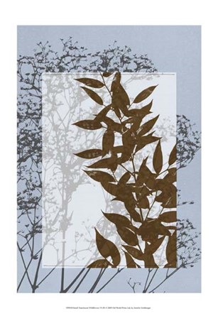 Sm Translucent Wildflowers VI by Jennifer Goldberger art print