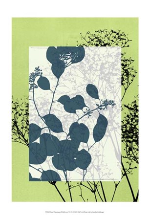 Sm Translucent Wildflowers VII by Jennifer Goldberger art print