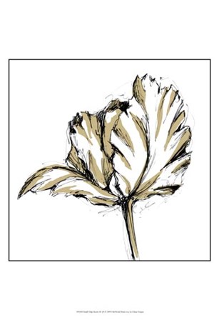 Small Tulip Sketch III by Ethan Harper art print