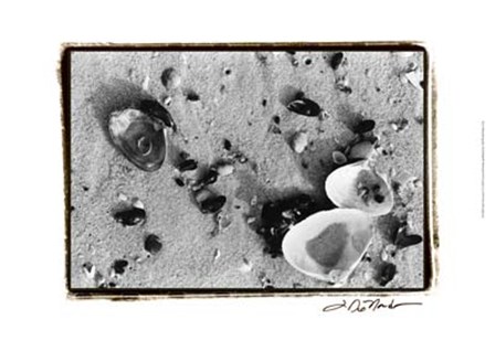 Sand Treasures I by Laura Denardo art print