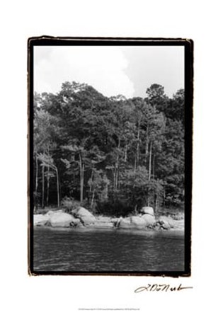 Serene Lake IV by Laura Denardo art print