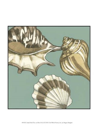 Small Shell Trio on Blue III (P) by Megan Meagher art print