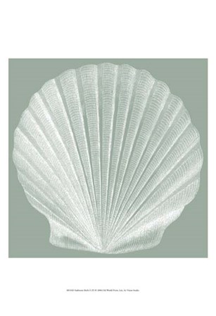 Seabreeze Shells II (P) by Vision Studio art print