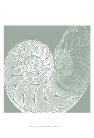Seabreeze Shells IV (P) by Vision Studio art print