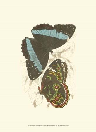 Butterflies VI by Sir William Jardine art print