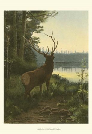 Elk by Oliver Kemp art print