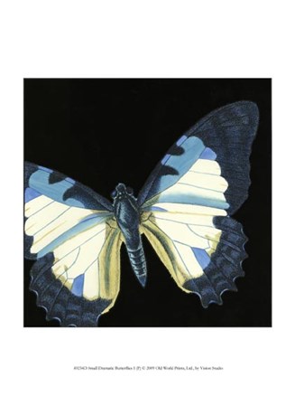 Small Dramatic Butterflies I by Vision Studio art print
