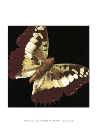 Small Dramatic Butterflies IV by Vision Studio art print