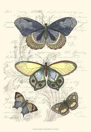 Butterfly Delight II by Vision Studio art print