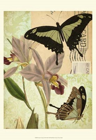 Nature&#39;s Tapestry III by Vision Studio art print
